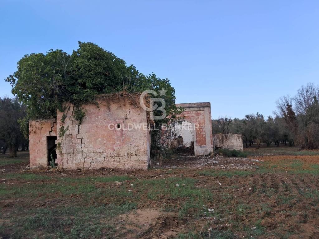 Rustico / casale a Mesagne in Contrada Cazzanoce - Foto 2