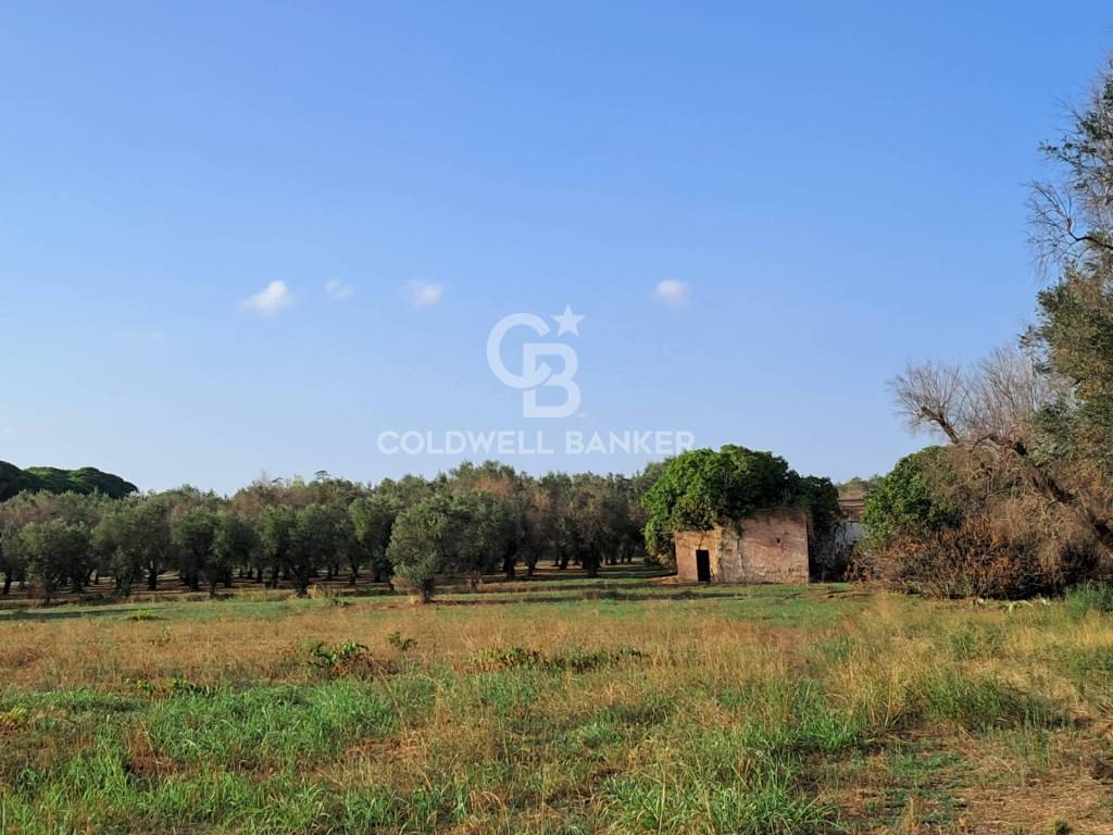 Rustico / casale a Mesagne in Contrada Cazzanoce - Foto 3
