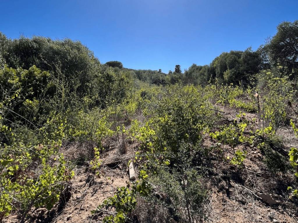 Terreno a Gonnesa - Foto 2