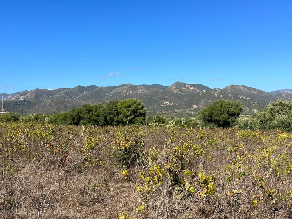 Terreno a Gonnesa - Foto 5