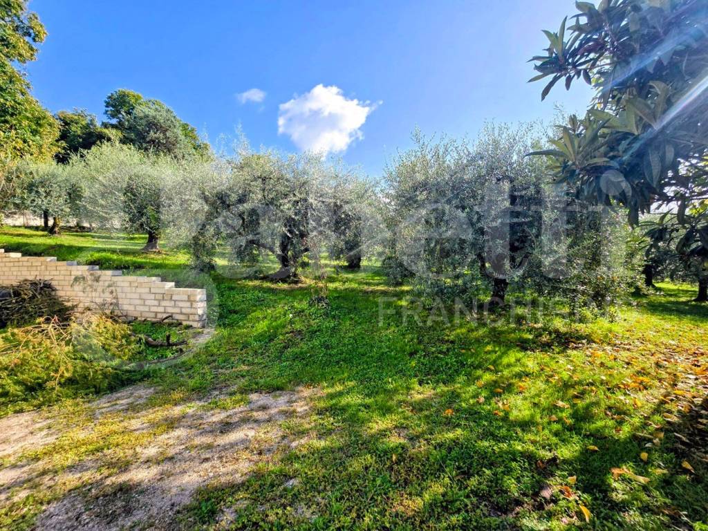Villa a Paliano in Contrada Pontemassa, snc - Foto 5