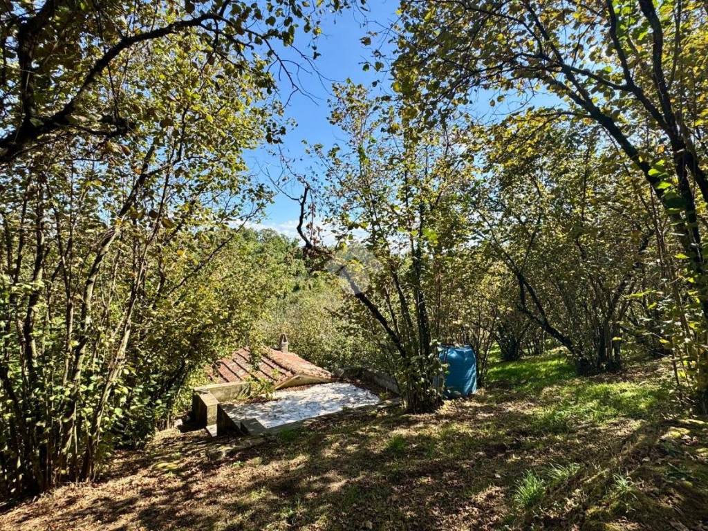 Rustico / casale a Caprarola in Località vaco la costa, 3 - Foto 5