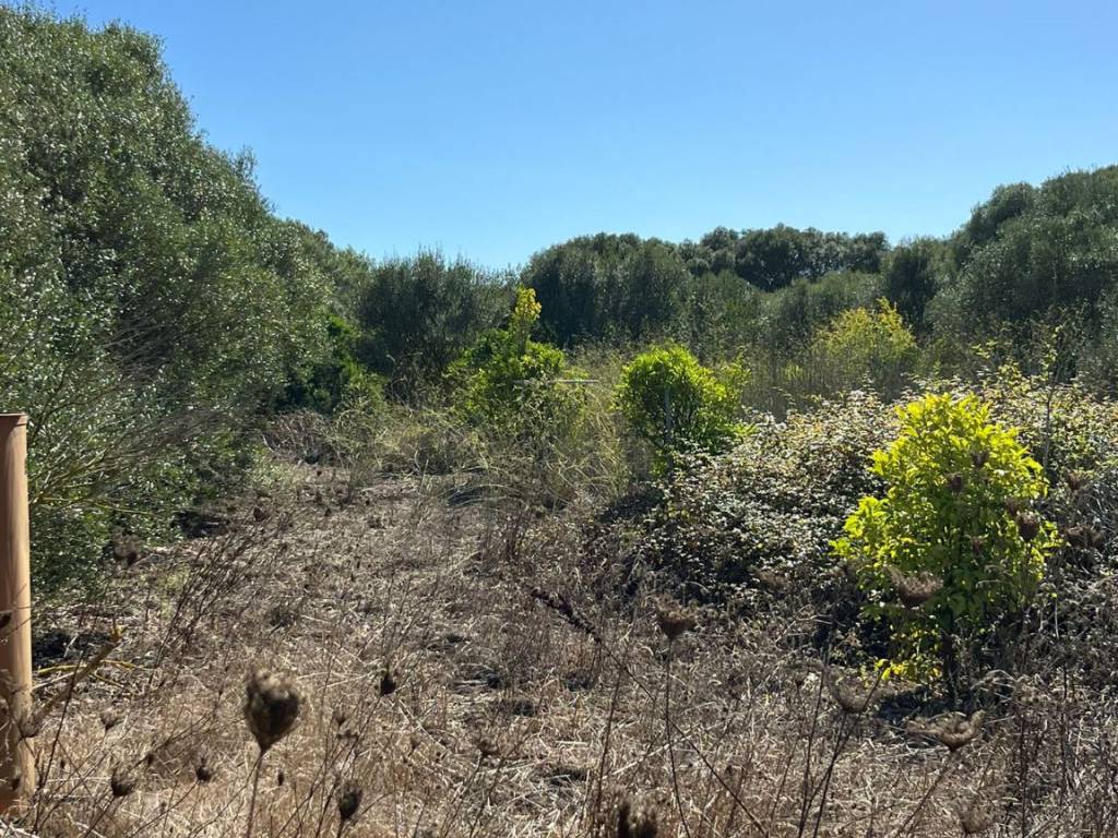 Terreno a Gonnesa - Foto 2
