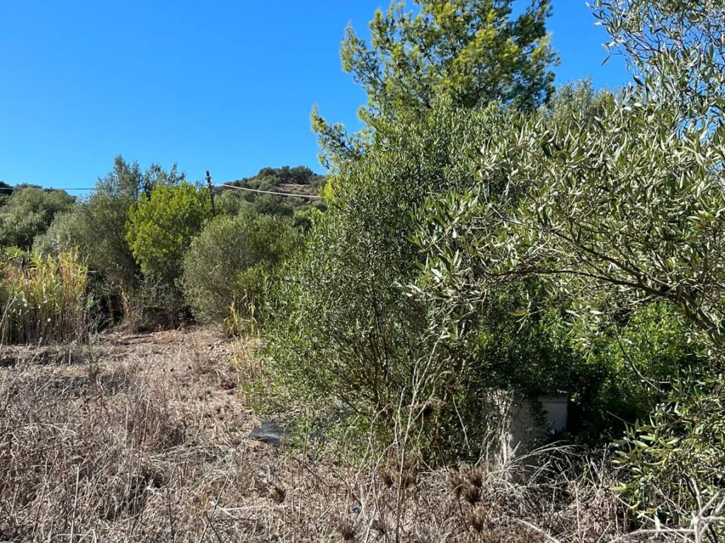 Terreno a Gonnesa - Foto 3