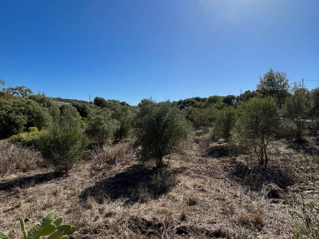 Terreno a Gonnesa - Foto 4
