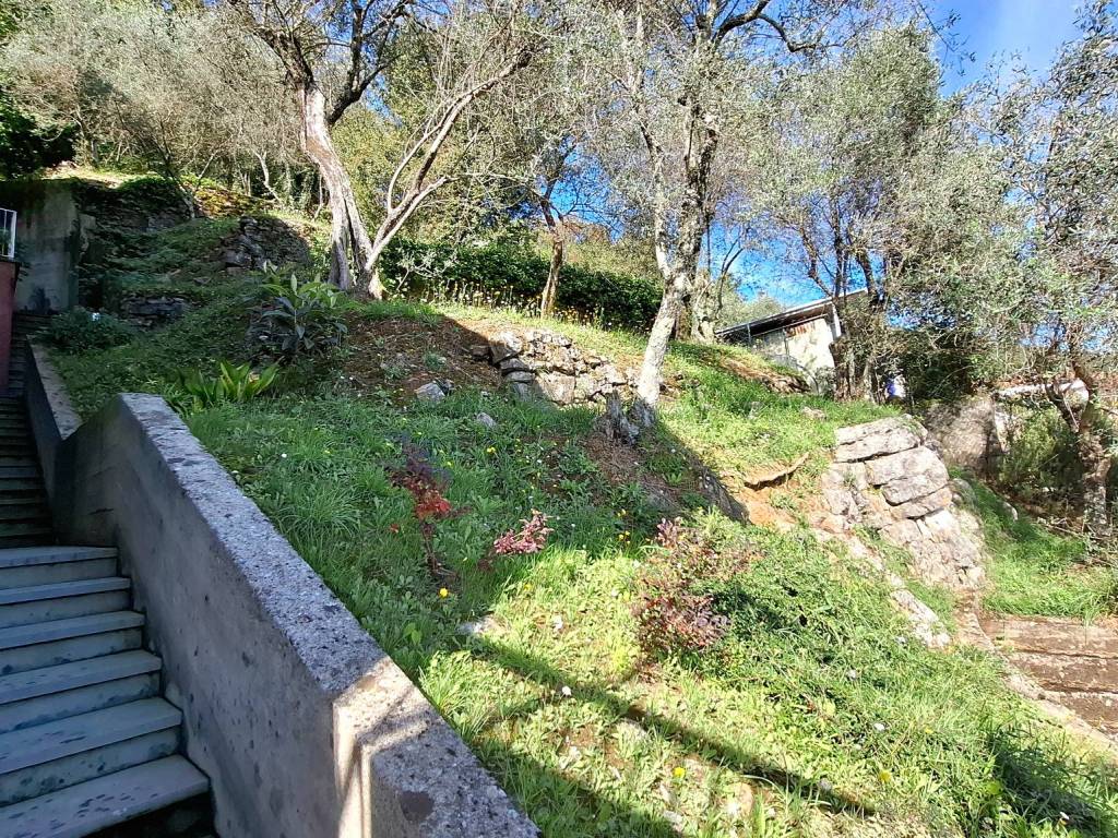 Loft / open space a Ameglia in Via Visola - Foto 4