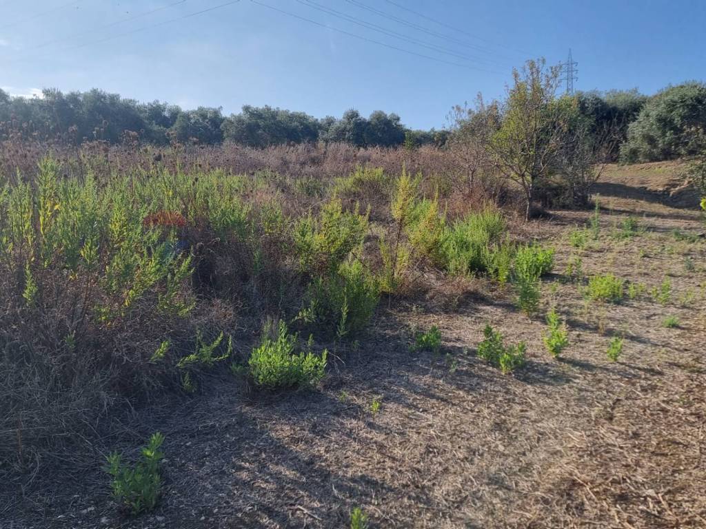Terreno a Bagheria in CONTRADA AMALFITANO - Foto 2