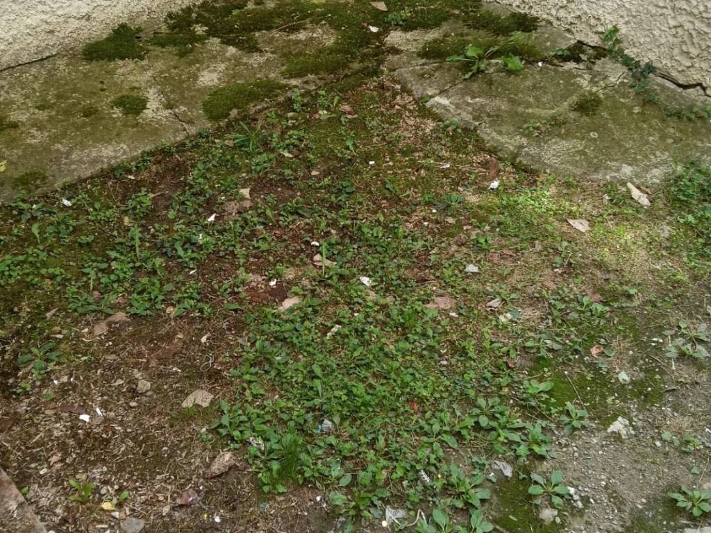 Casa indipendente a Fornovo di taro in Strada Val Sporzana - Foto 2