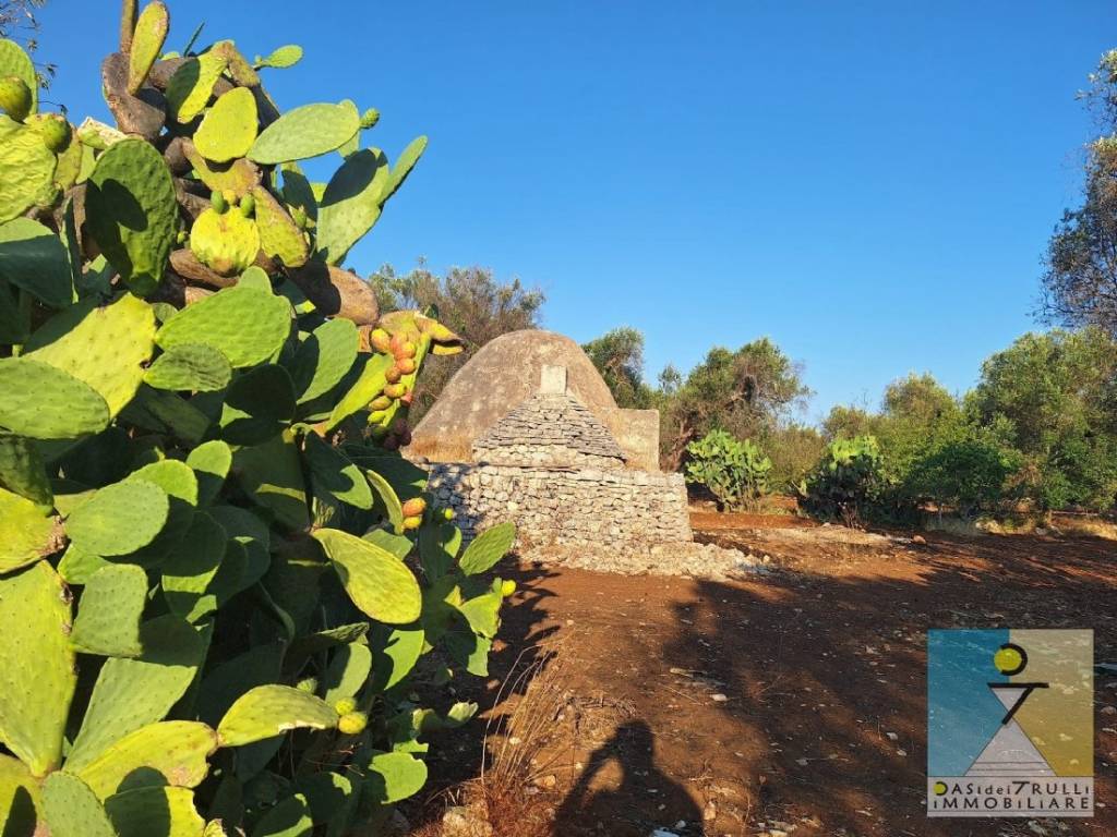 Rustico / casale a San michele salentino in Contrada Sardella - Foto 4