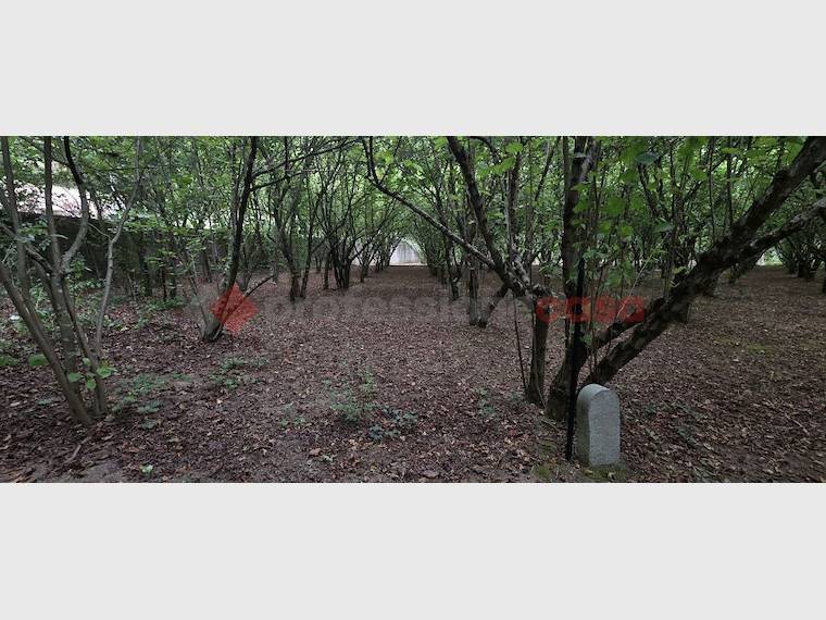 Terreno a Avellino in Via Tufarole - Foto 2