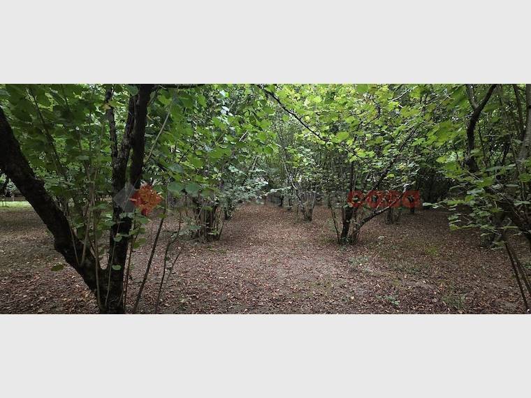 Terreno a Avellino in Via Tufarole - Foto 4