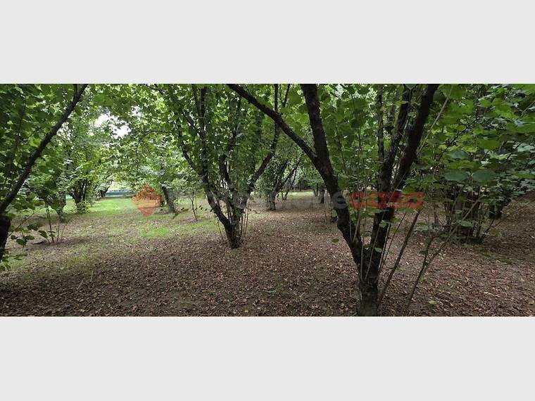 Terreno a Avellino in Via Tufarole - Foto 5