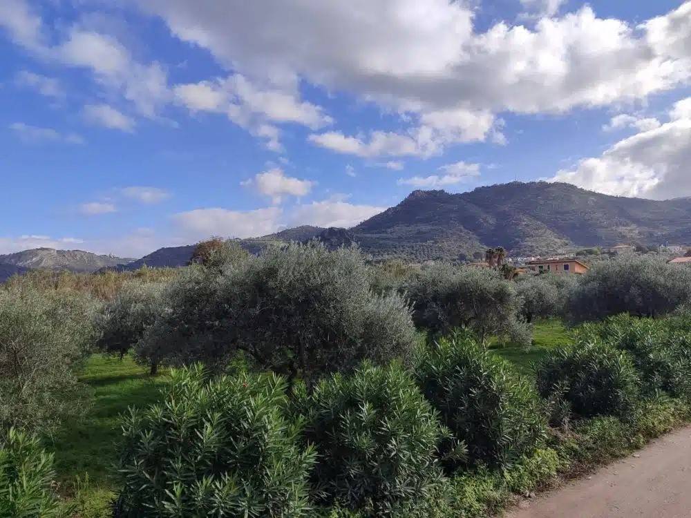 Terreno a Patti in Via Messina - Foto 5