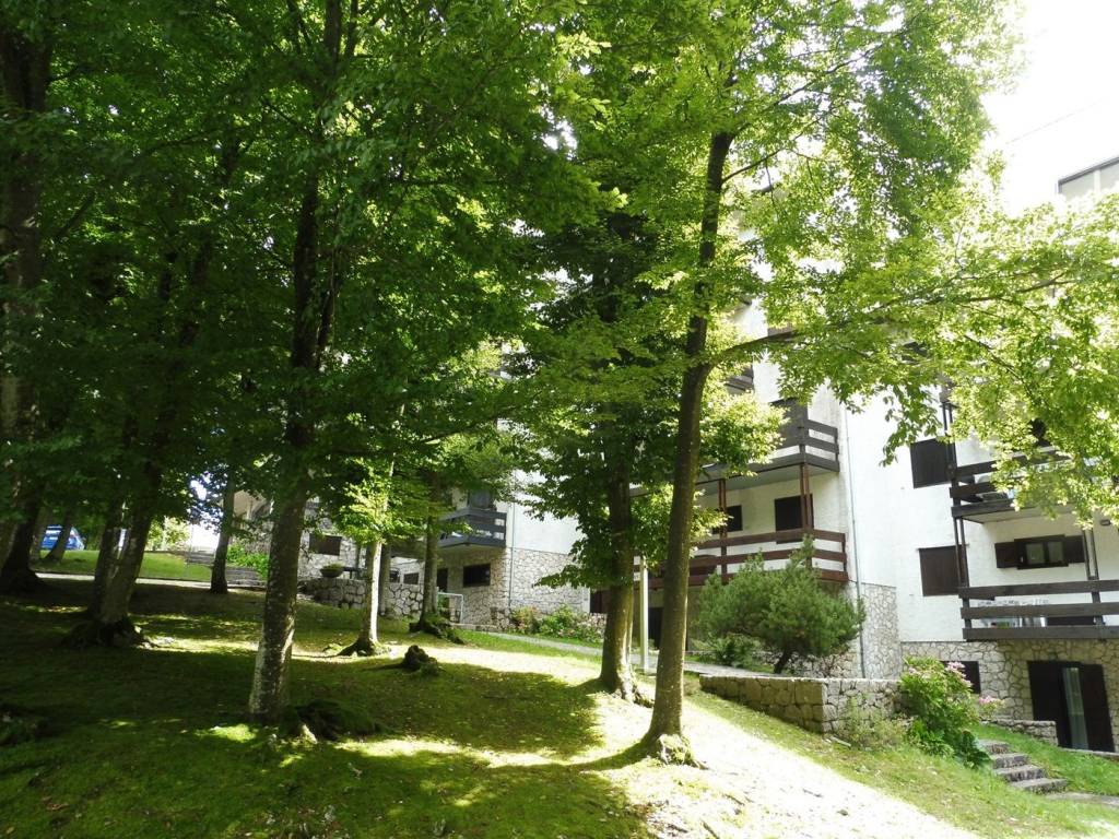 Appartamento a Lusiana conco in Via Monte Cogolin, 12 - Foto 2