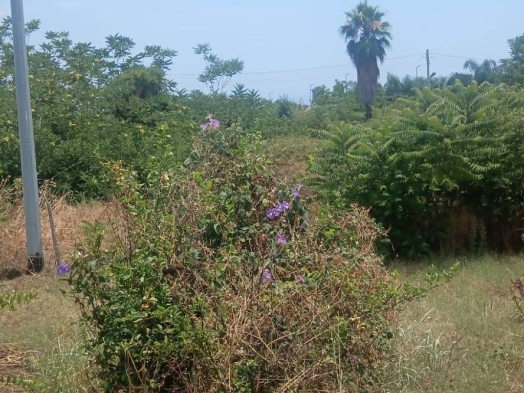 Rustico / casale a Giarre - Foto 5