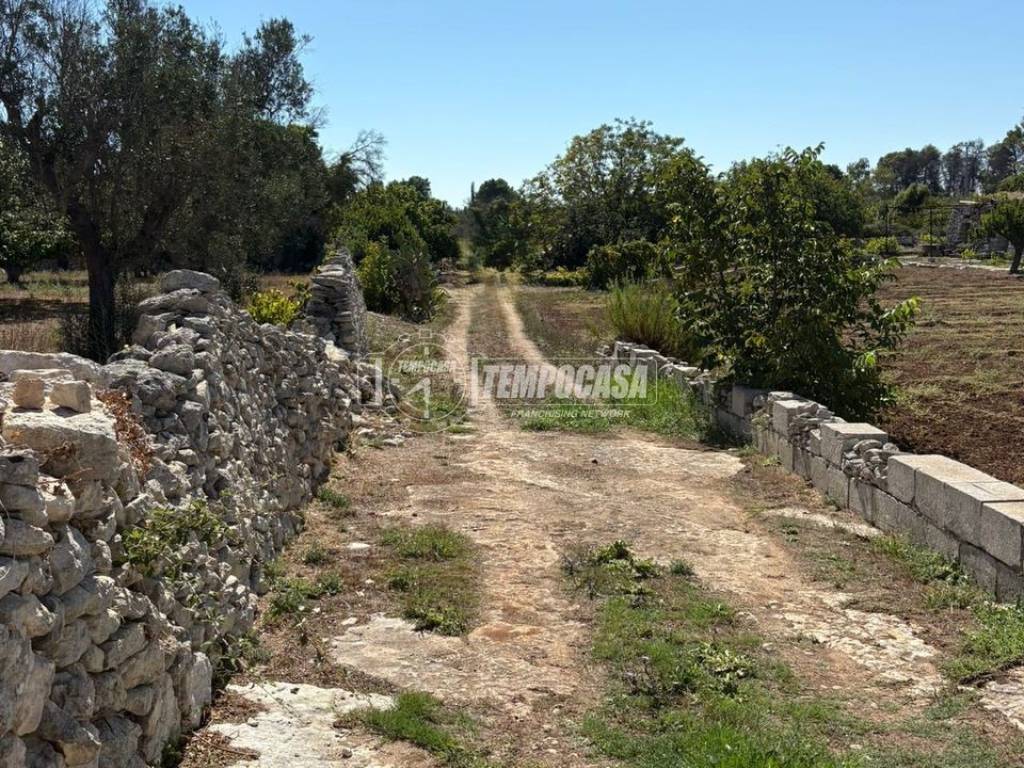 Terreno a Maglie in Via Vecchia Com.le Corigliano-Maglie 1 - Foto 4