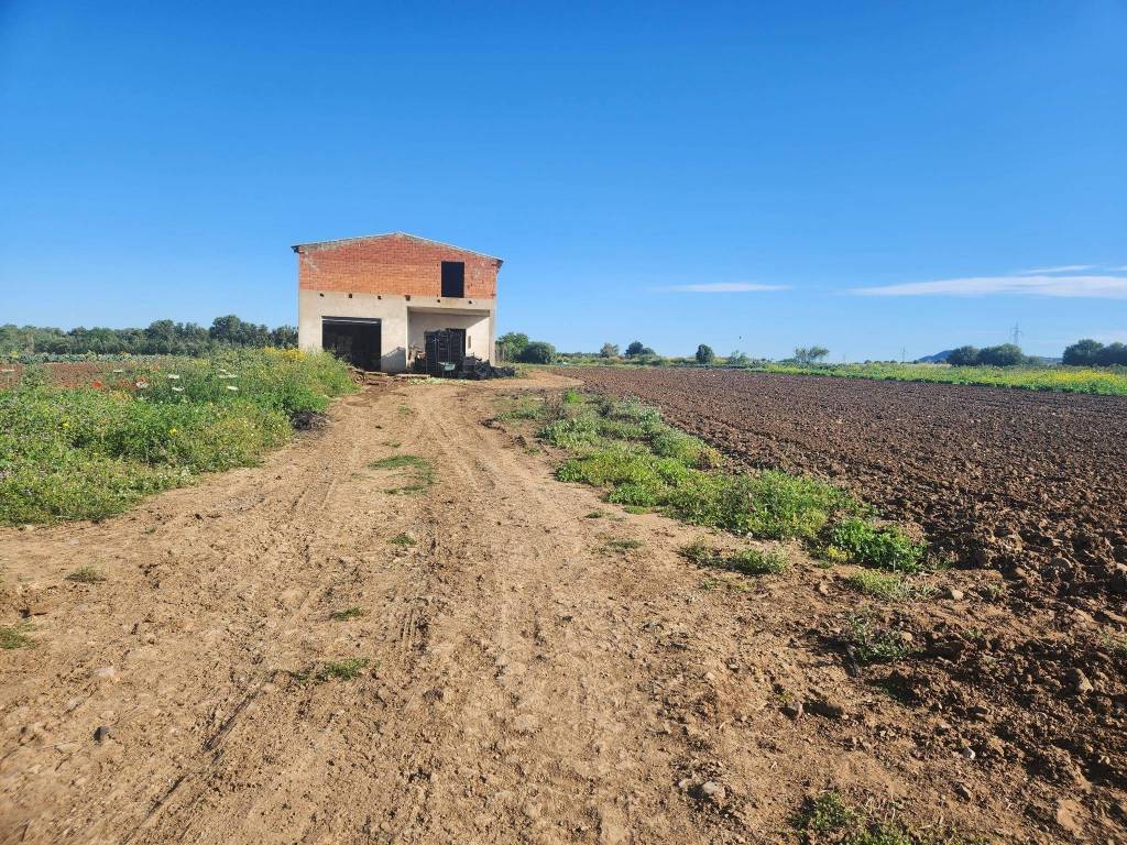 Villa a San sperate - Foto 4