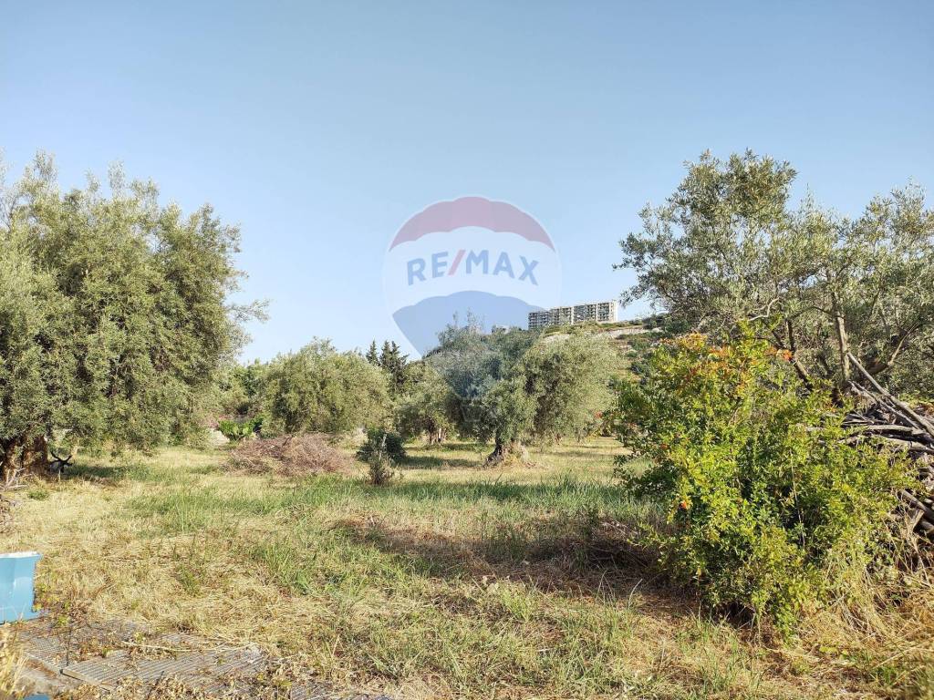 Terreno a Melilli in contrada Pianazzo - Foto 5