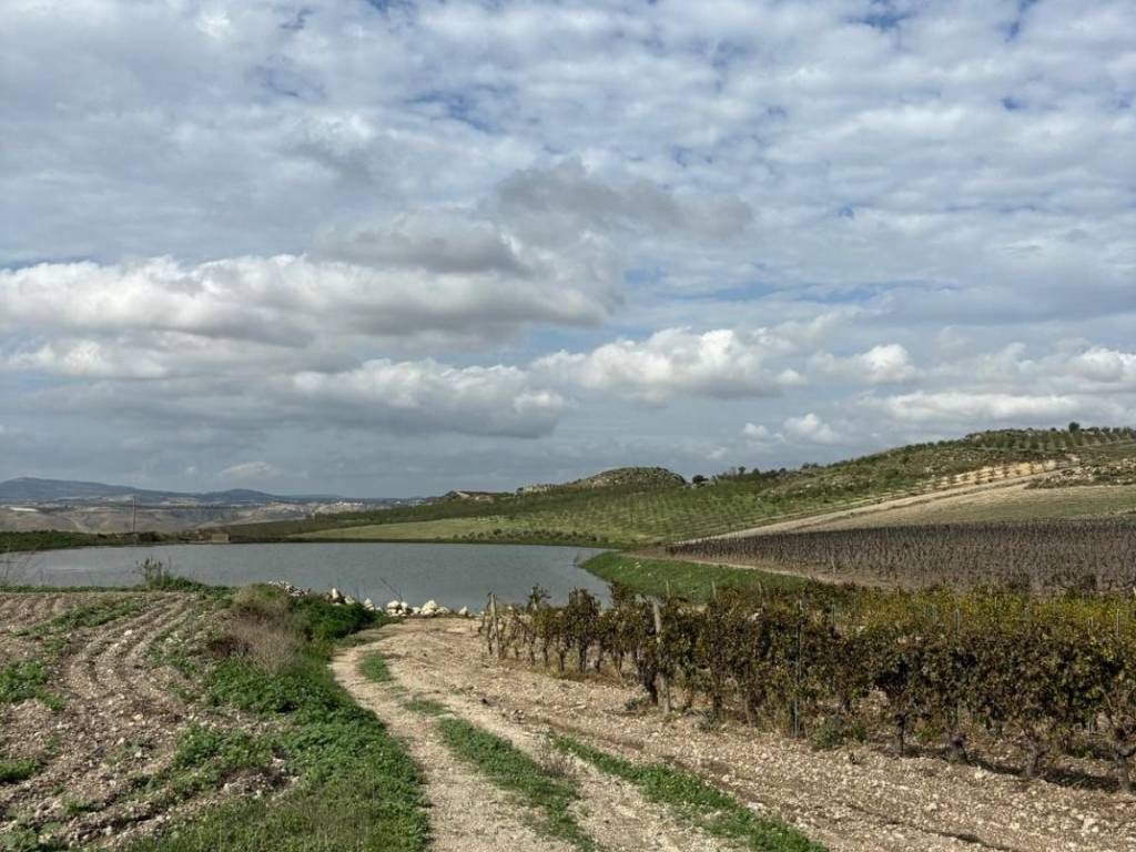 Terreno a Butera in Via Agrigento, 1 - Foto 3