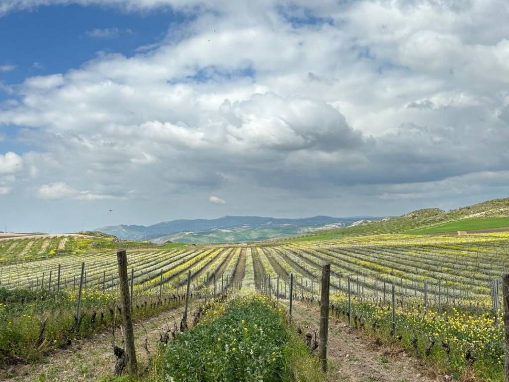 Terreno a Butera in Via Agrigento, 1 - Foto 4