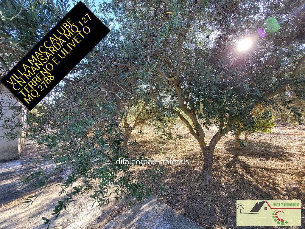 Villa a Aragona in Via Maccalube - Foto 3