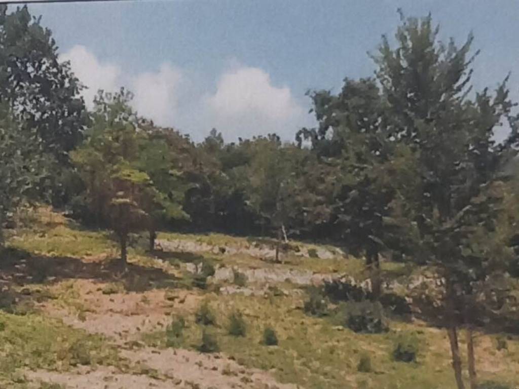 Terreno a Cenate sopra - Foto 2
