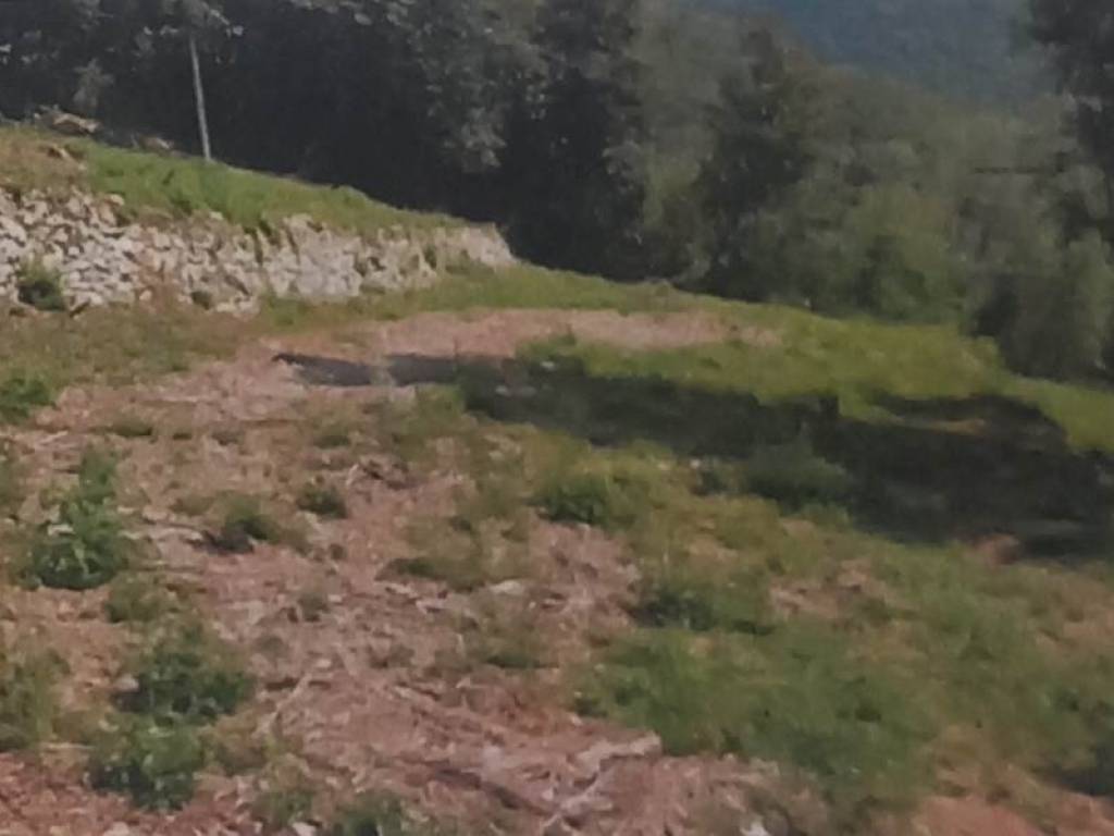 Terreno a Cenate sopra - Foto 3