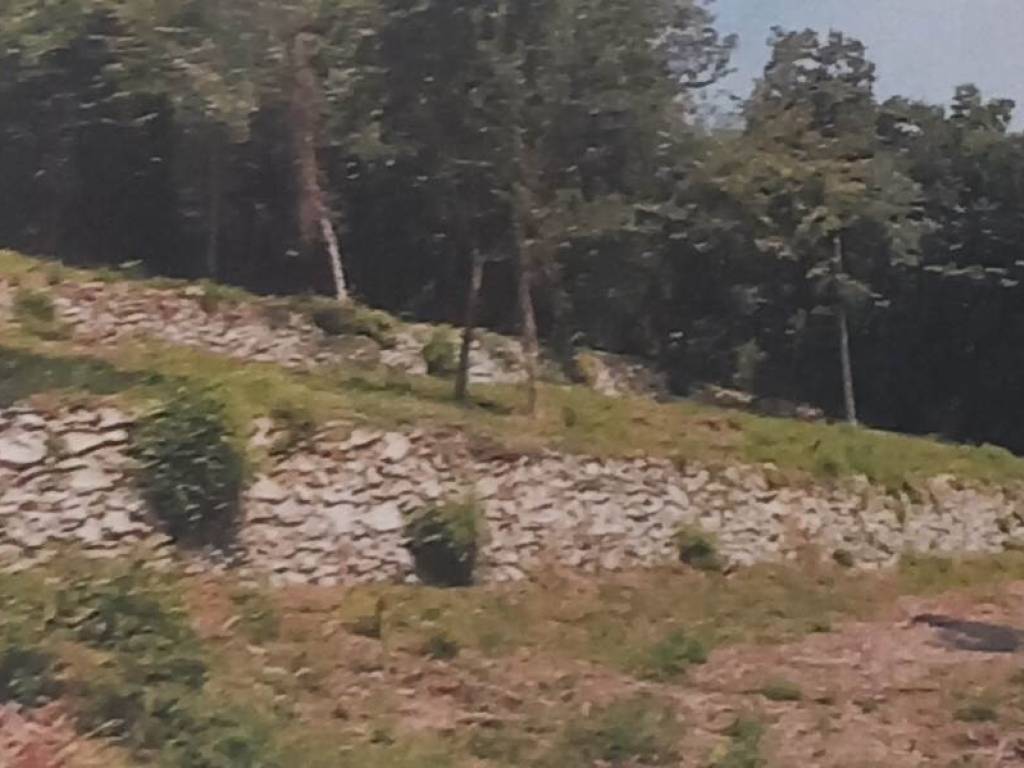 Terreno a Cenate sopra - Foto 4