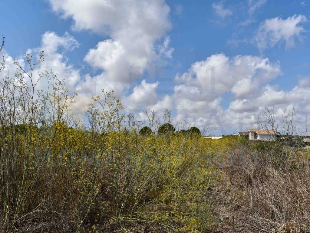 Terreno a Noto in Via Tommaso Fazello, 228 - Foto 2