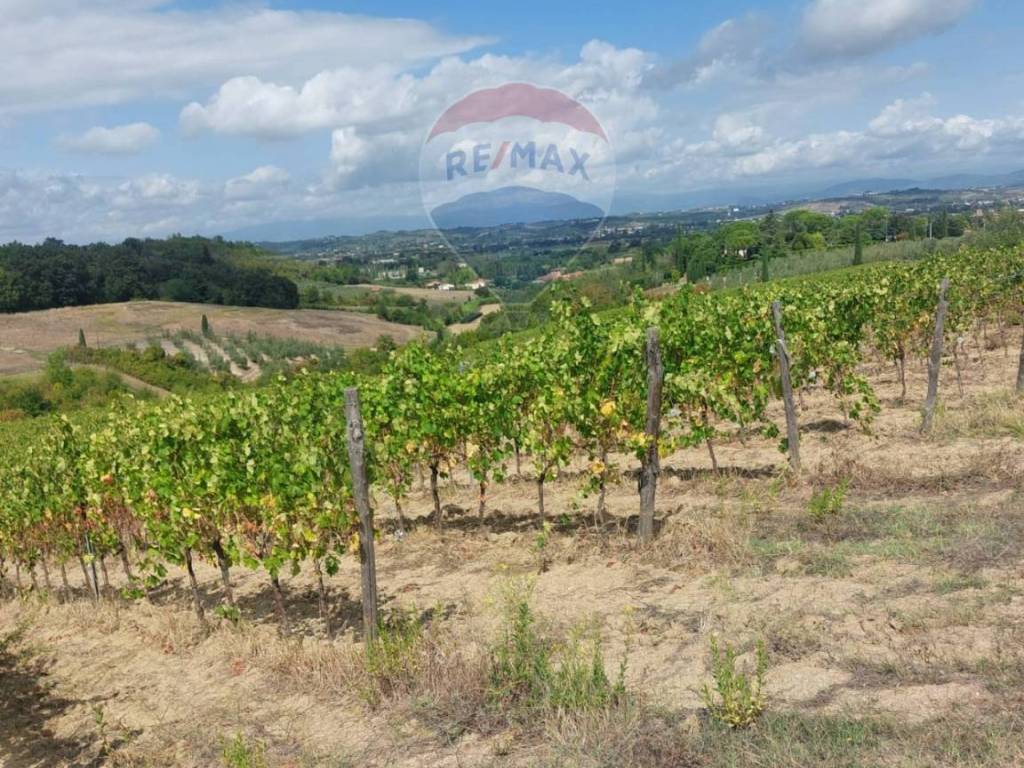 Terreno a San miniato in Via Poggio al Pino - Foto 2