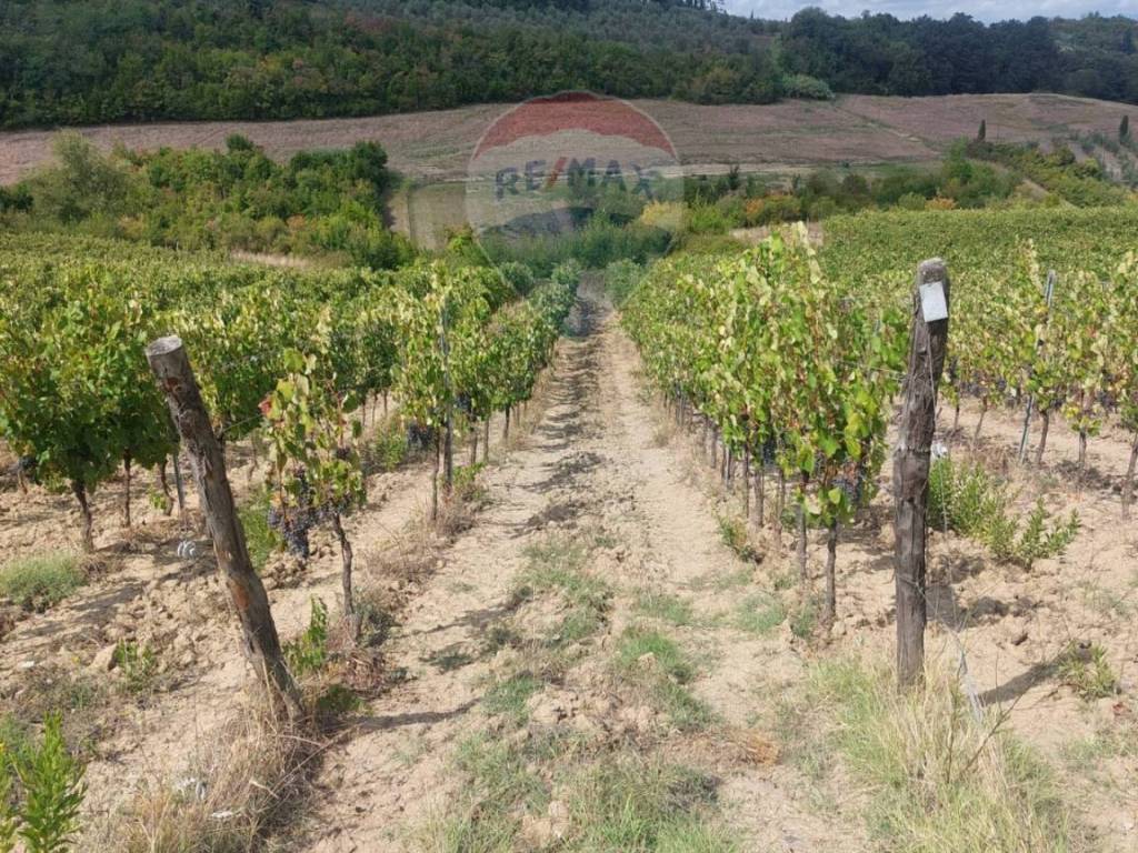 Terreno a San miniato in Via Poggio al Pino - Foto 3