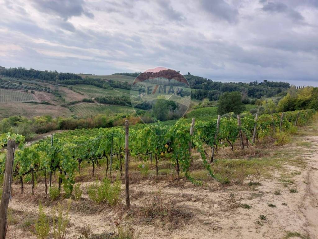 Terreno a San miniato in via Poggio al Pino - Foto 2