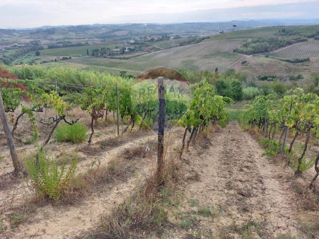 Terreno a San miniato in via Poggio al Pino - Foto 3