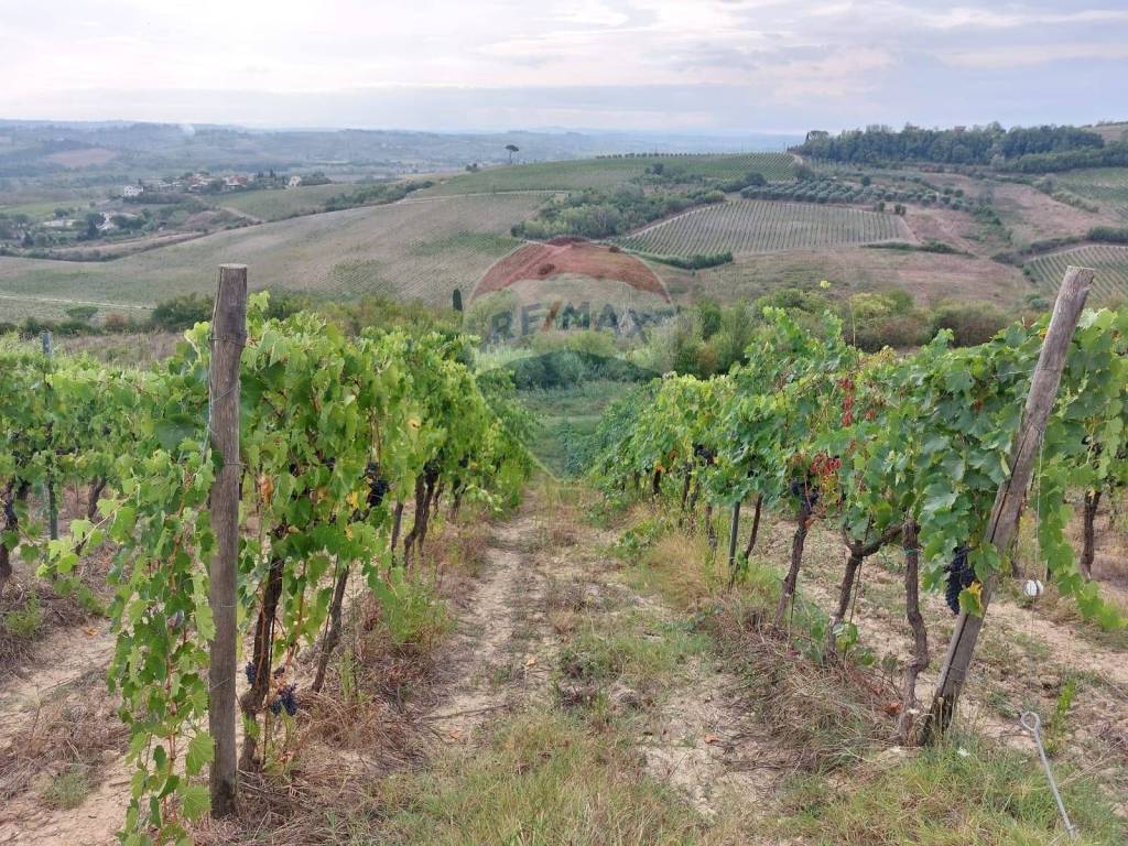 Terreno a San miniato in via Poggio al Pino - Foto 4