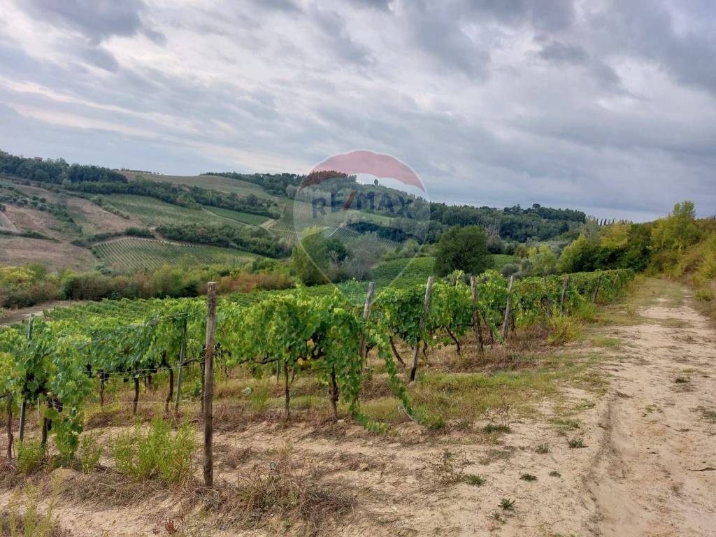 Terreno a San miniato in via Poggio al Pino - Foto 5