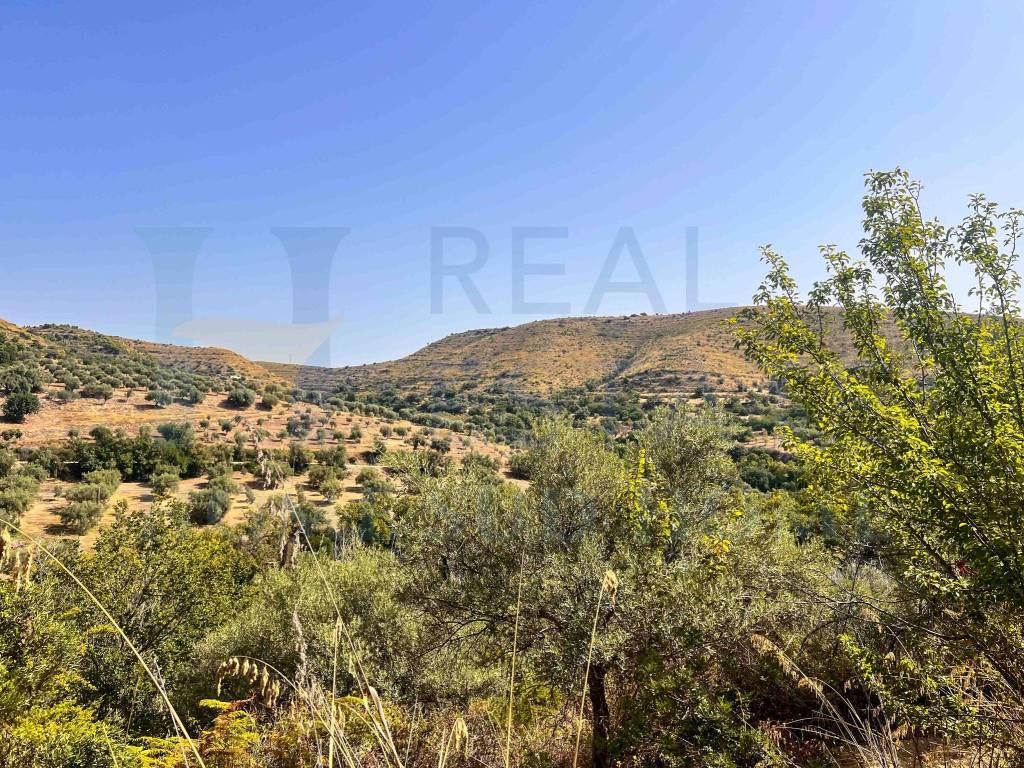 Terreno a Noto in Via Tommaso Fazello, 228 - Foto 2