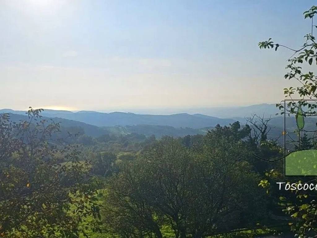 Villa a Castellina marittima - Foto 5