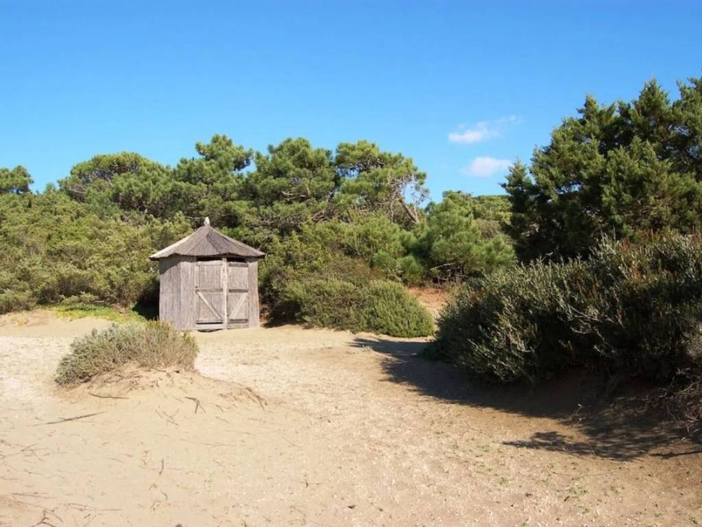 Villa a Castiglione della pescaia in Roccamare No Number - Foto 5