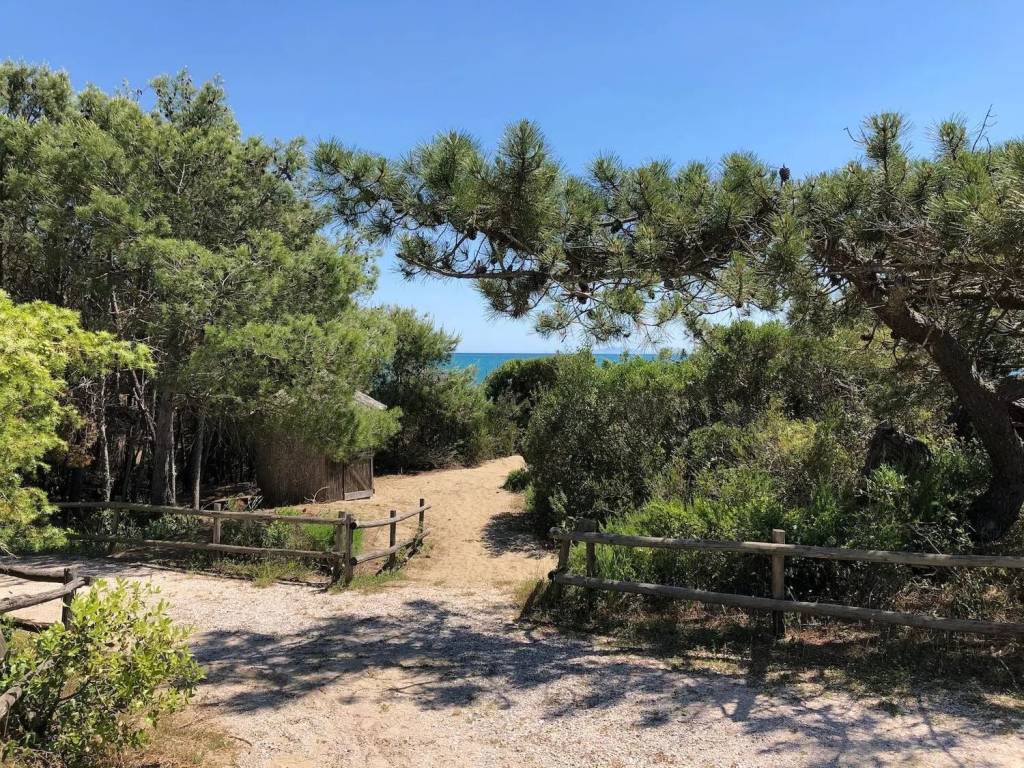 Villa a Castiglione della pescaia in Roccamare No Number - Foto 2