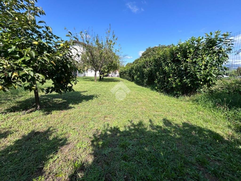 Casa indipendente a Sarzana in Via Pecorina, 125 - Foto 4