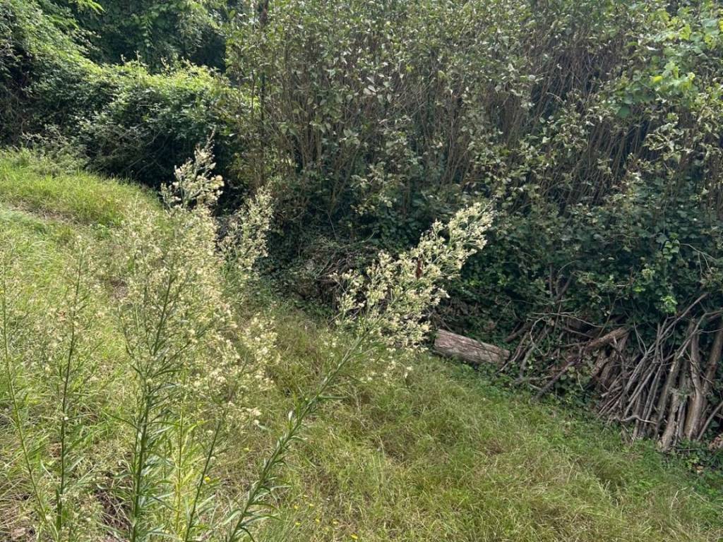 Rustico / casale a Quiliano in Via Burrè - Foto 4