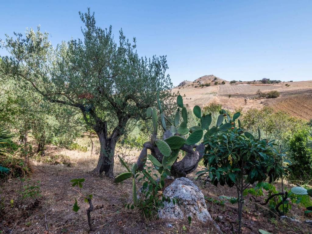 Villa a Caltagirone in c/da marcimino sp48 - Foto 2