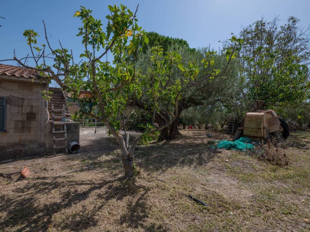 Villa a Caltagirone in c/da marcimino sp48 - Foto 3