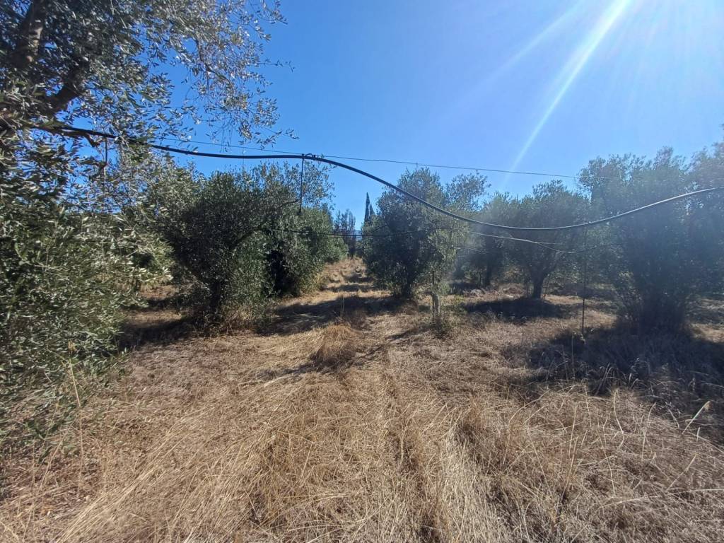 Villa a Quartucciu in Regione San Gaetano - Foto 4
