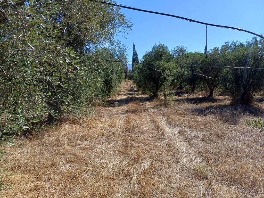 Villa a Quartucciu in Regione San Gaetano - Foto 5