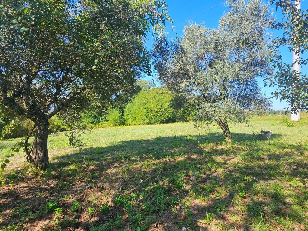 Villa a Ceprano in Via Opi, 1 - Foto 4