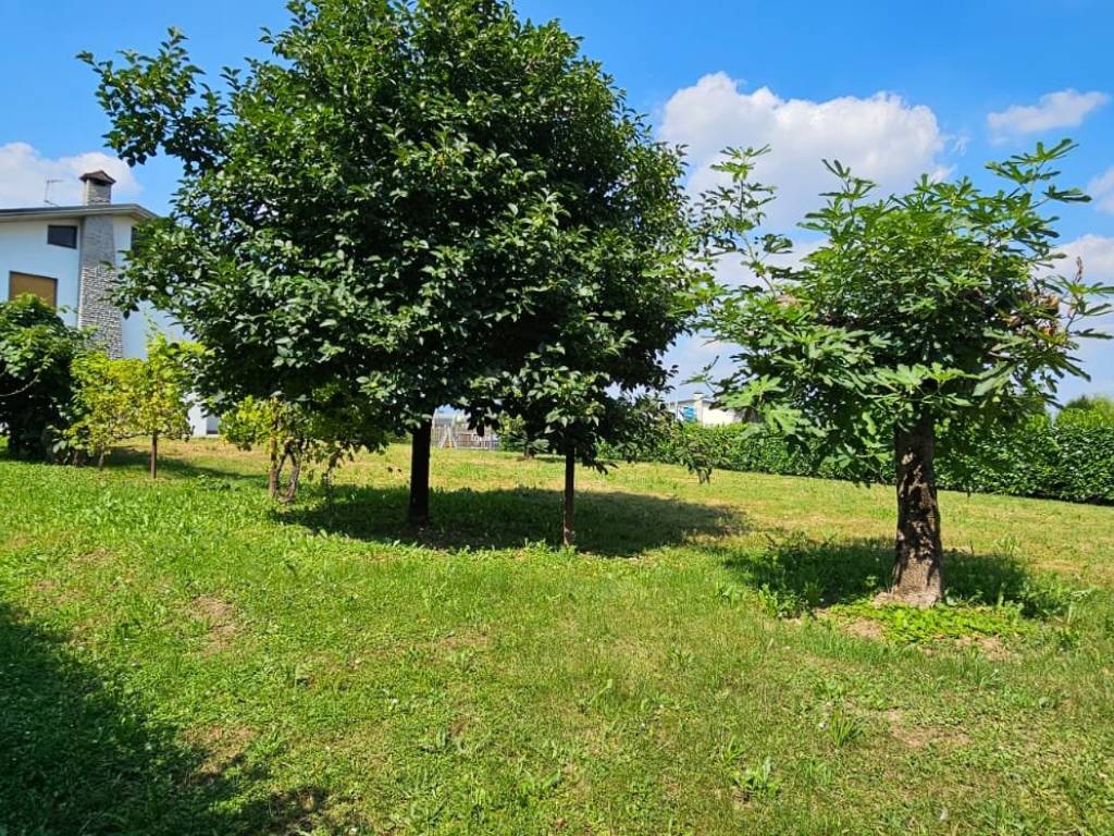 Appartamento a Bonate sotto in Via Vittorio Veneto - Foto 5