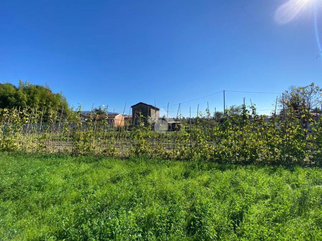 Rustico / casale a Sarzana in Via Boettola Il Traversa, 42 - Foto 4