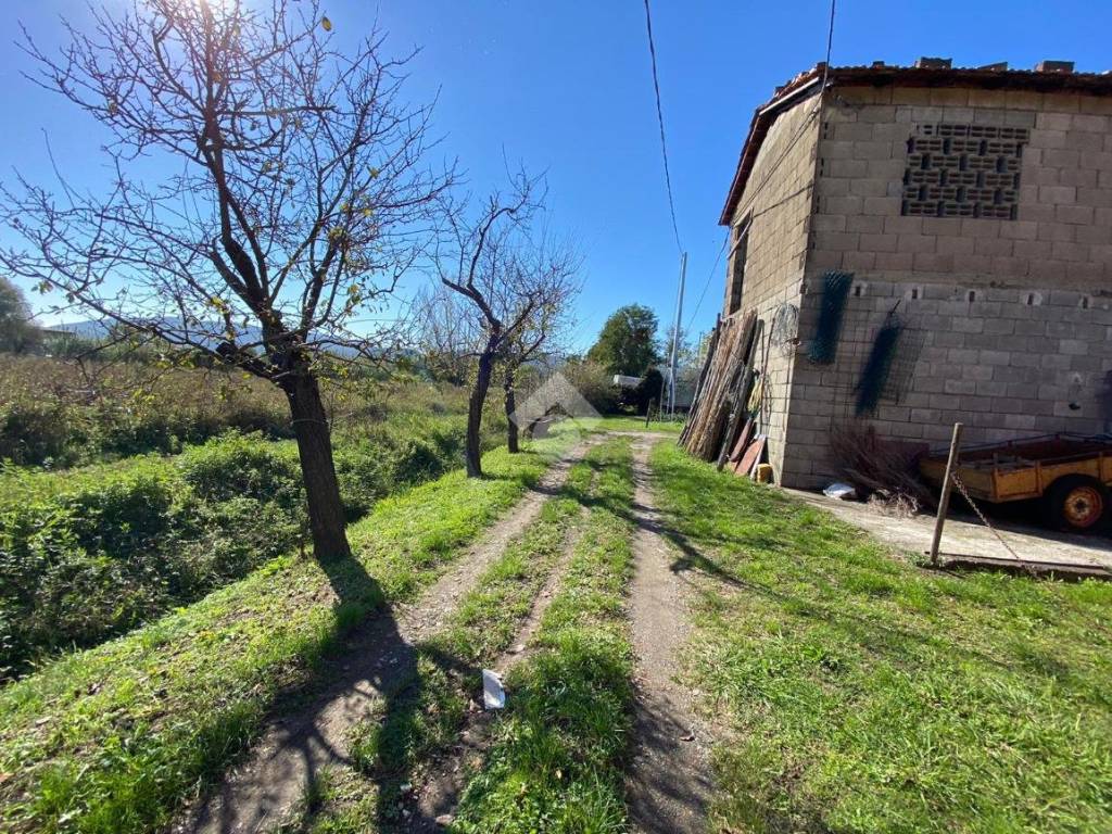 Rustico / casale a Sarzana in Via Boettola Il Traversa, 42 - Foto 5