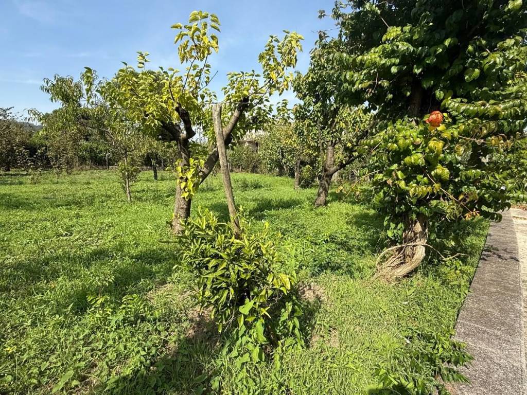 Villa a Contrada in Via Provinciale, 64 - Foto 4